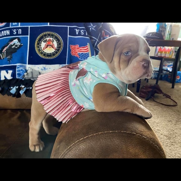 Meet your Posher, Jessi - Picture 8 of 13